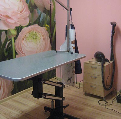 zdjecie salonu roksi